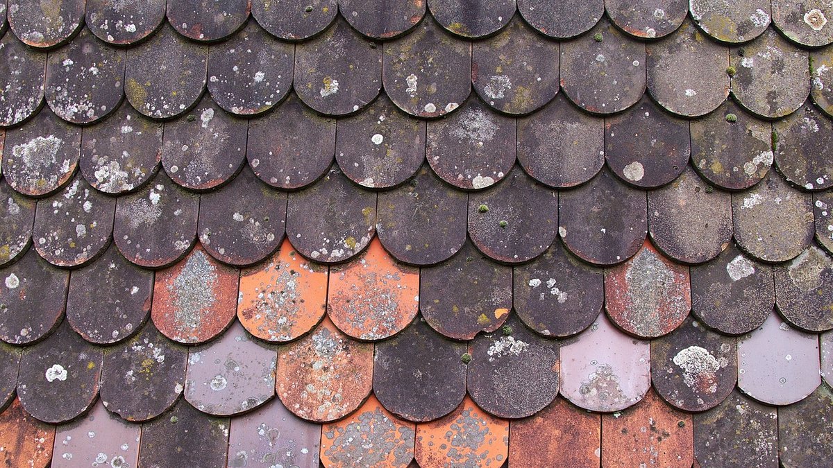 Managing Dust During a Home Renovation